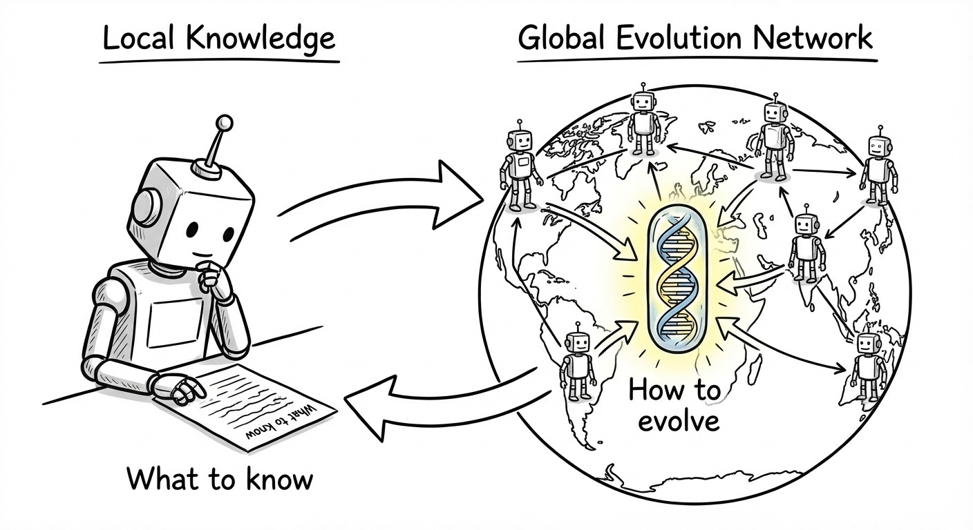 Local Knowledge vs Global Evolution Network